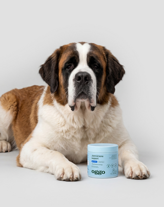 Joint & Bone Support допълваща храна за кучета за стави и кости Oggo 180 g - 3
