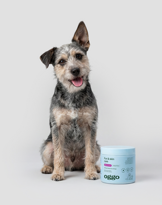 Fur & Skin допълваща храна за кучета за красива козина и здрава кожа Oggo 180 g - 2