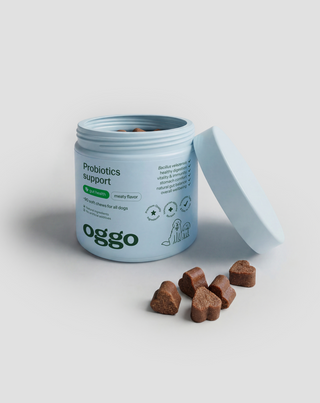 Probiotics for dogs допълваща храна за кучета за храносмилане, храносмилателна система и имунитет Oggo 180 g - 4