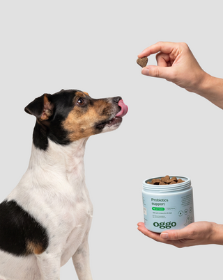 Probiotics for dogs допълваща храна за кучета за храносмилане, храносмилателна система и имунитет Oggo 180 g - 2