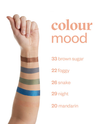 Матова сенка за очи Colour mood с цвят на млечен шоколад 24 Praline Paese