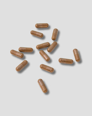 Екстракт от листа на Гинко Билоба Nutridome 60 бр._2 - 2